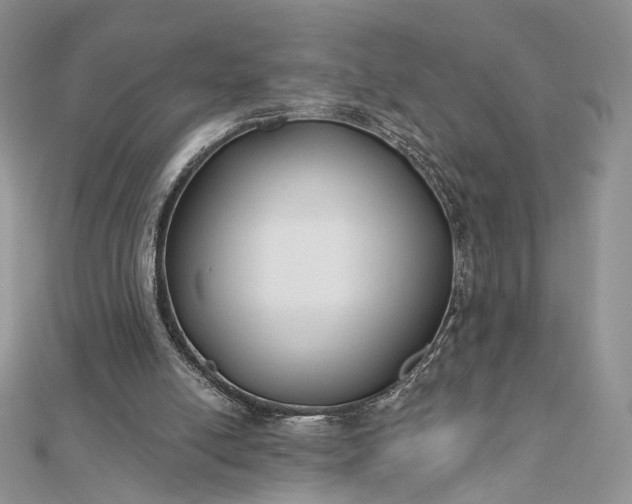 X0000112800054200909041441