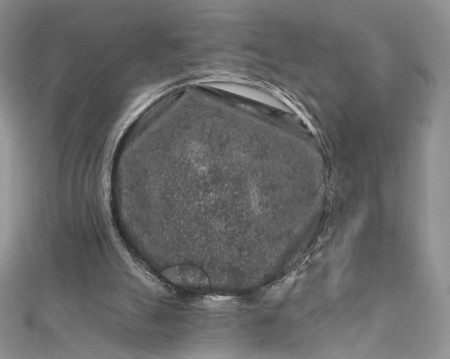 X0000112800055200909041441