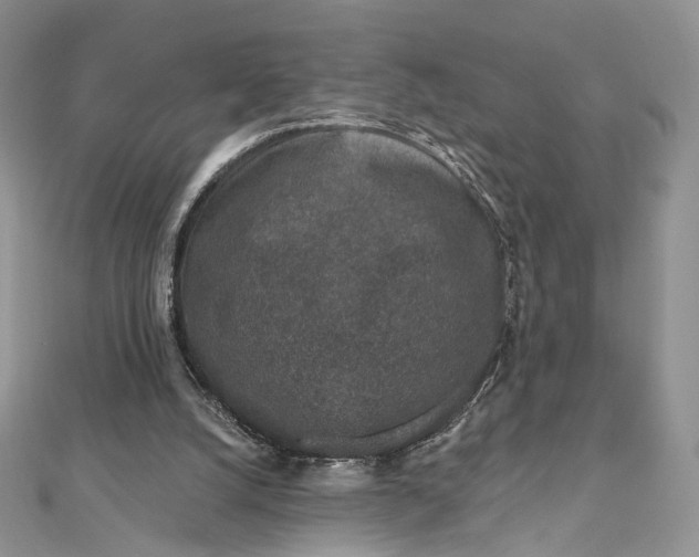 X0000112800056200909041441