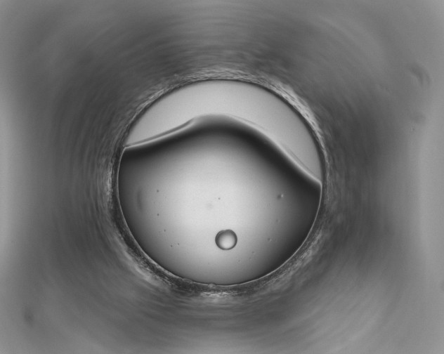 X0000112800057200909041441