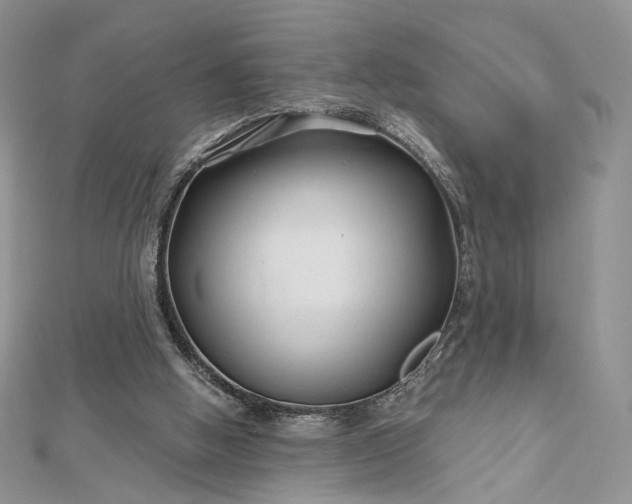 X0000112800058200909041441