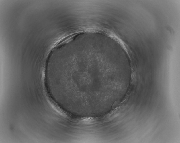 X0000112800059200909041441