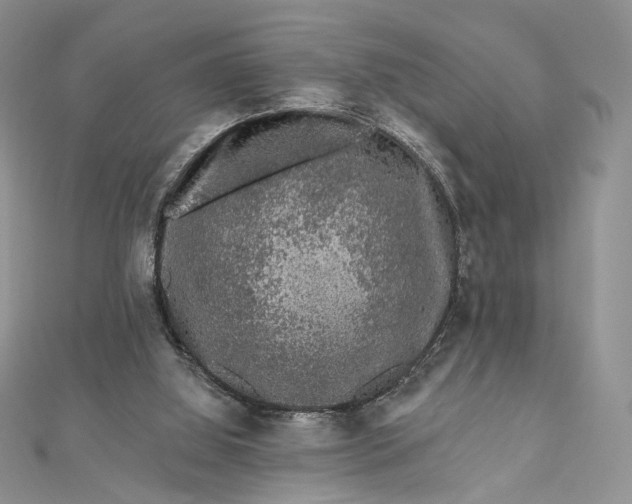 X0000112800060200909041441