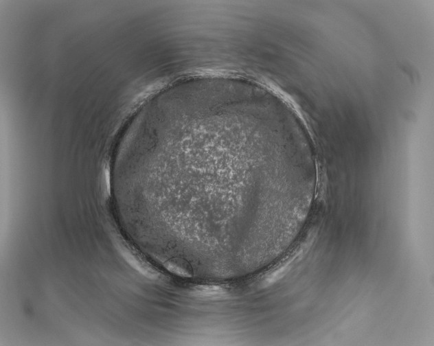 X0000112800061200909041441