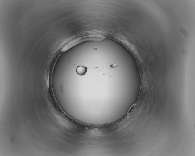 X0000112800062200909041441