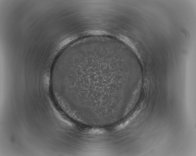 X0000112800063200909041441