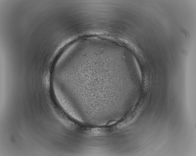 X0000112800064200909041441