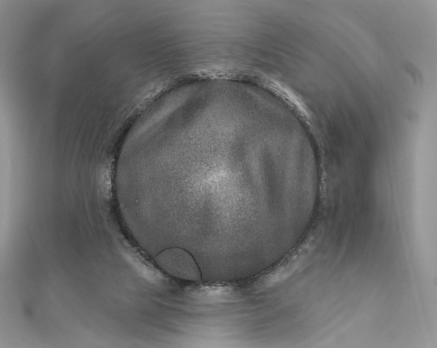 X0000112800065200909041441