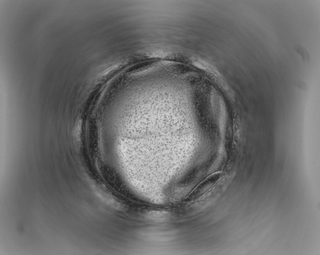 X0000112800066200909041441