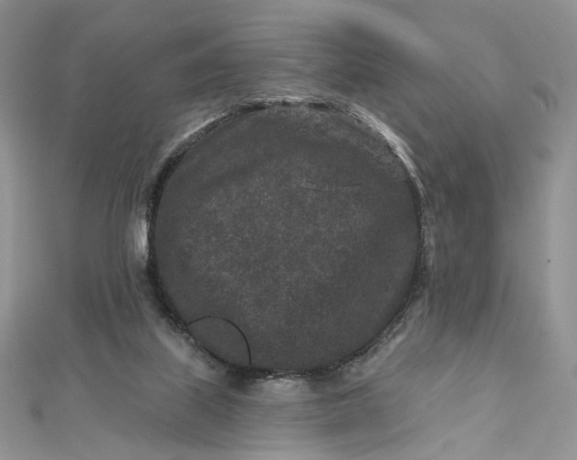 X0000112800067200909041441