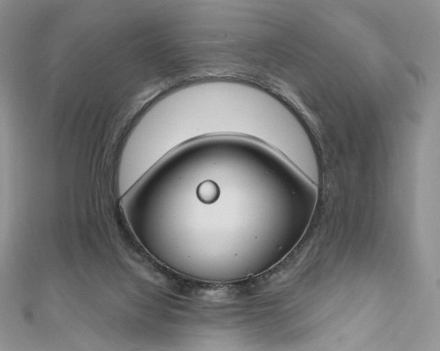 X0000112800068200909041441