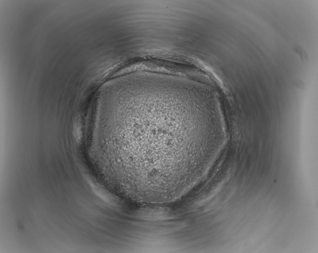 X0000112800069200909041441