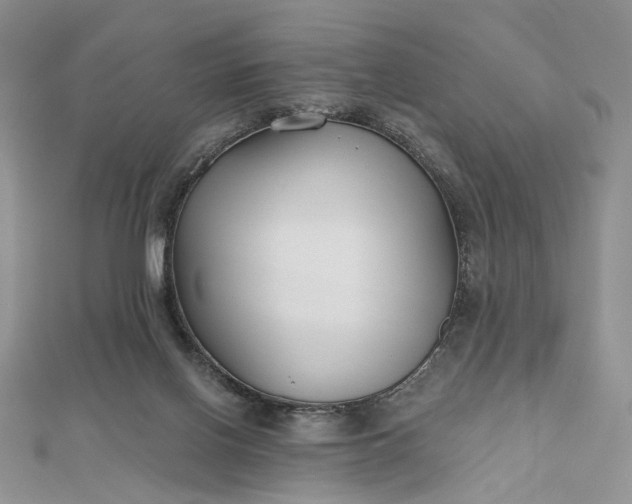 X0000112800070200909041441