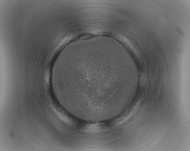 X0000112800072200909041441