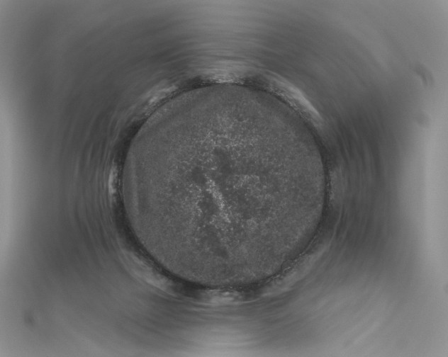 X0000112800073200909041441