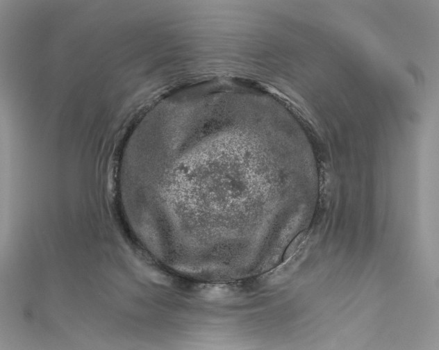 X0000112800074200909041441