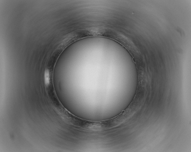 X0000112800075200909041441