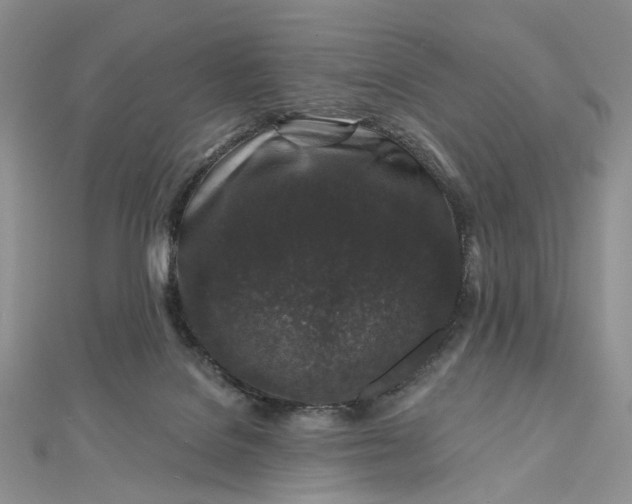 X0000112800076200909041441