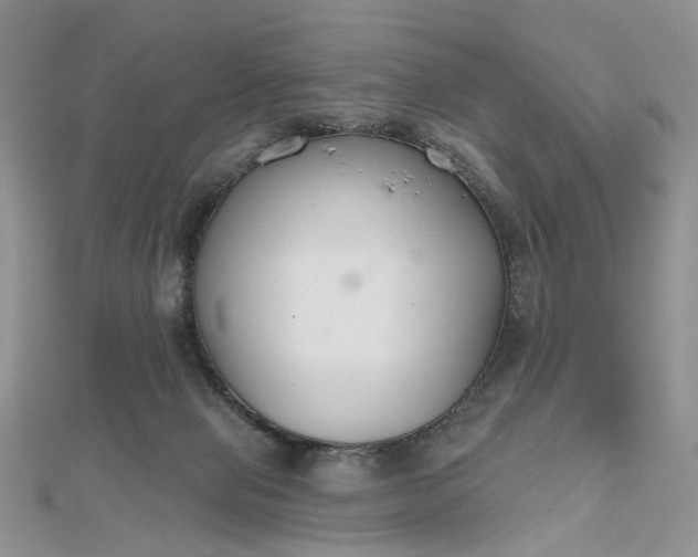 X0000112800077200909041441