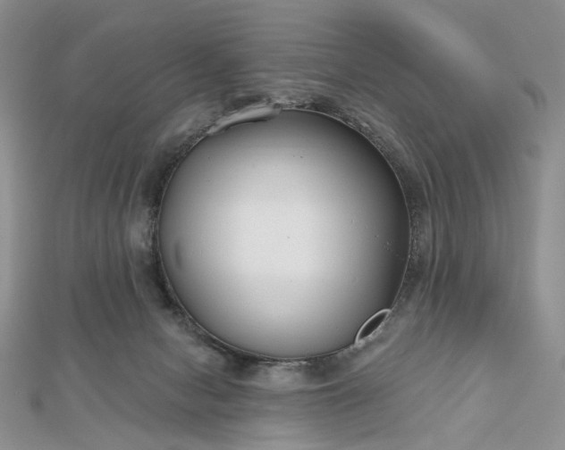 X0000112800078200909041441