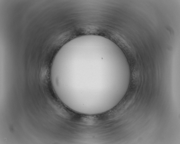 X0000112800079200909041441