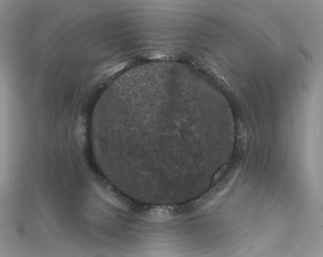 X0000112800080200909041441