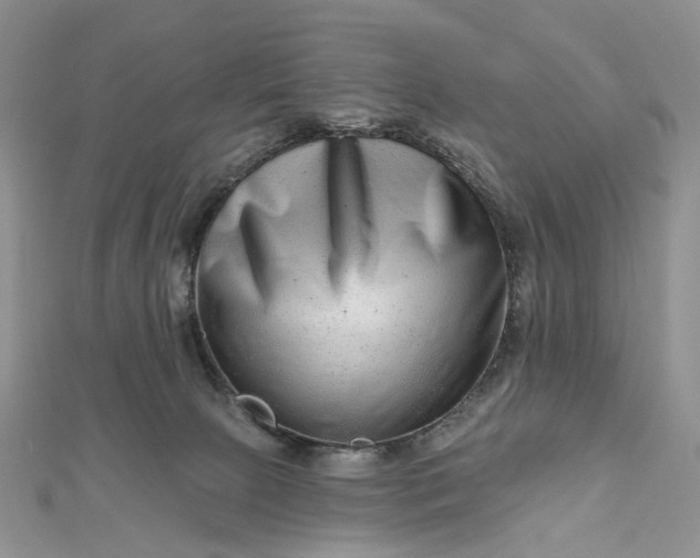 X0000112800081200909041441