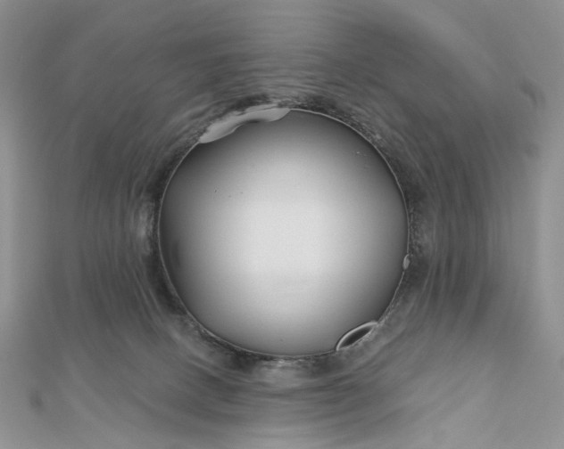 X0000112800082200909041441