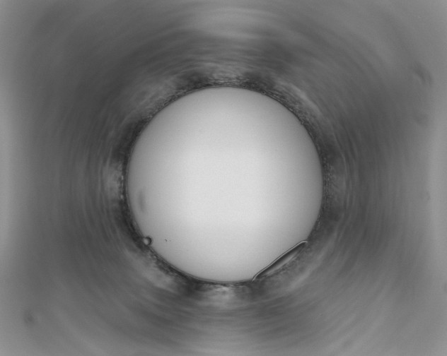 X0000112800083200909041441