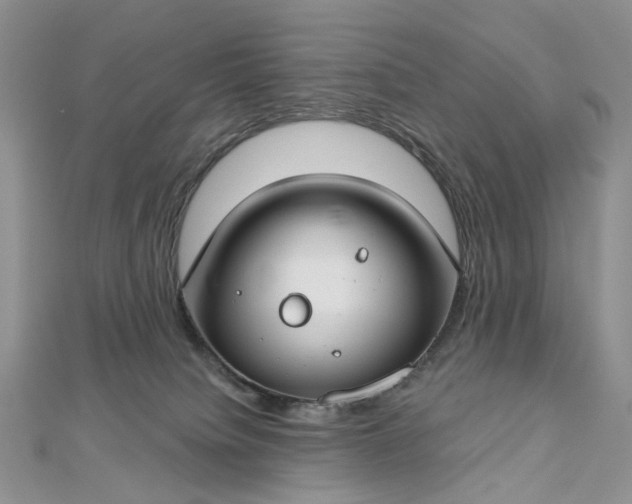 X0000112800084200909041441