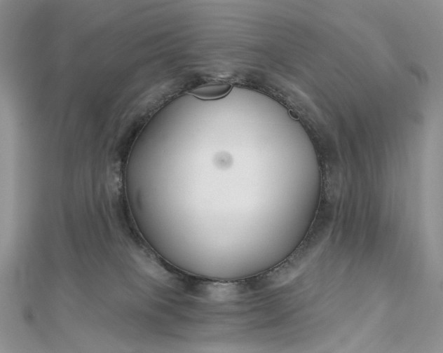 X0000112800085200909041441