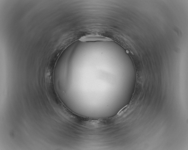 X0000112800086200909041441