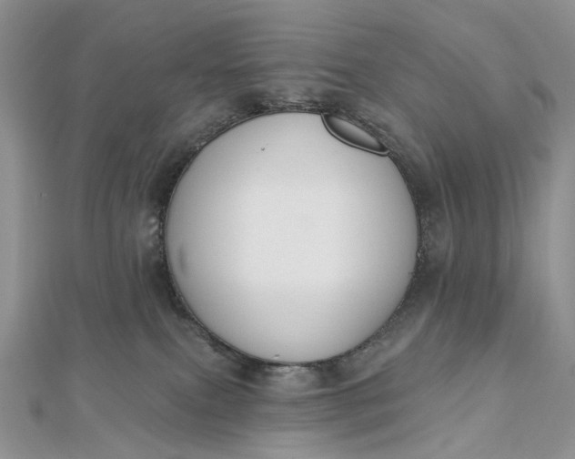 X0000112800087200909041441