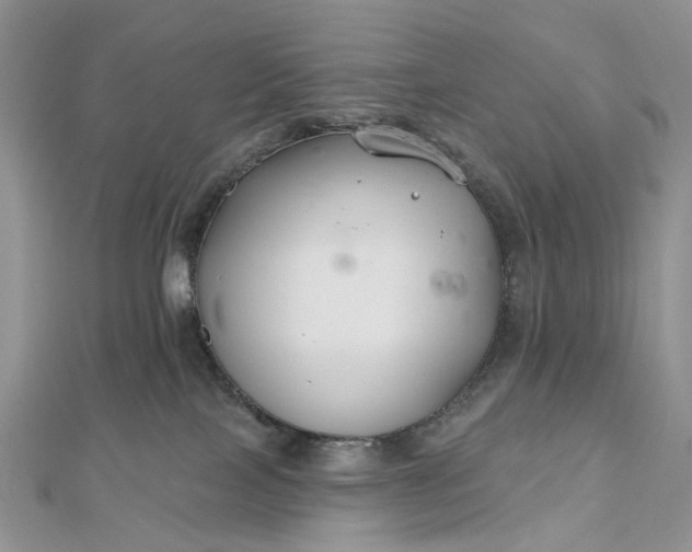 X0000112800089200909041441