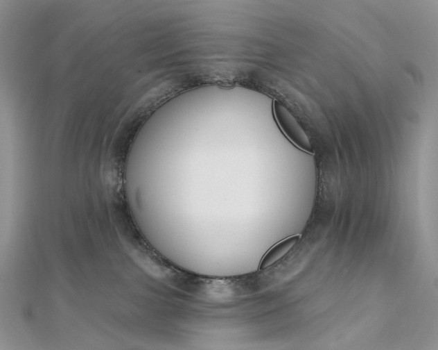 X0000112800091200909041442