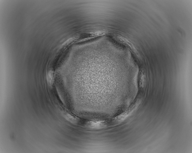 X0000112800093200909041442