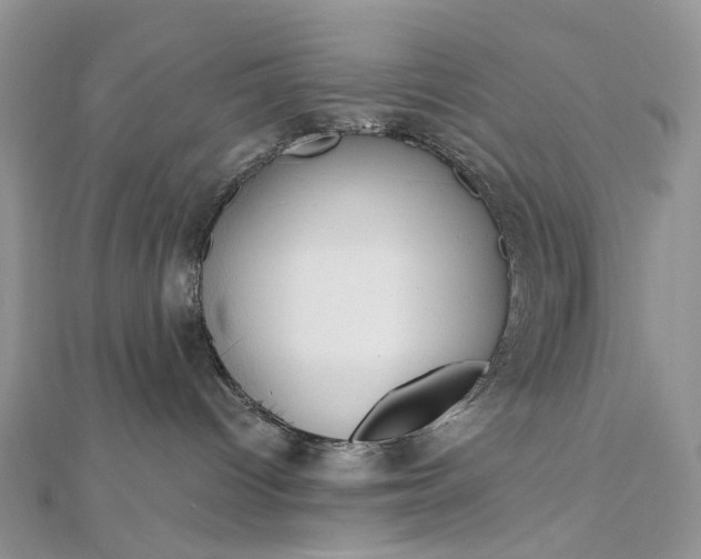 X0000112800096200909041442