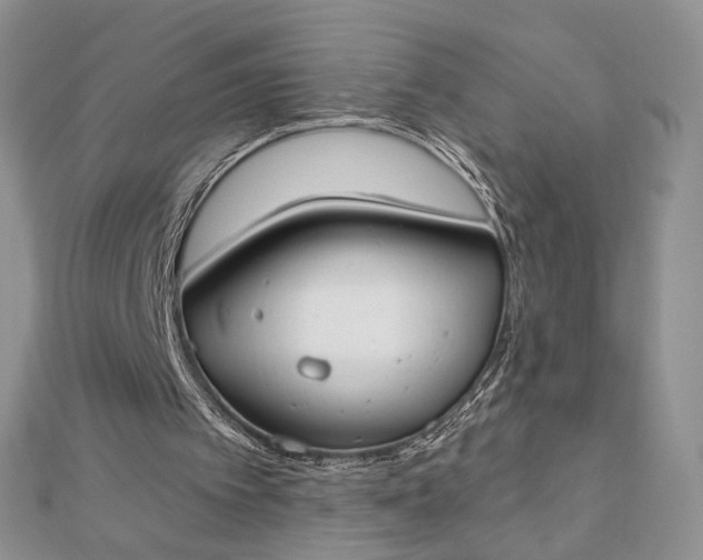 X0000112800097200909041441