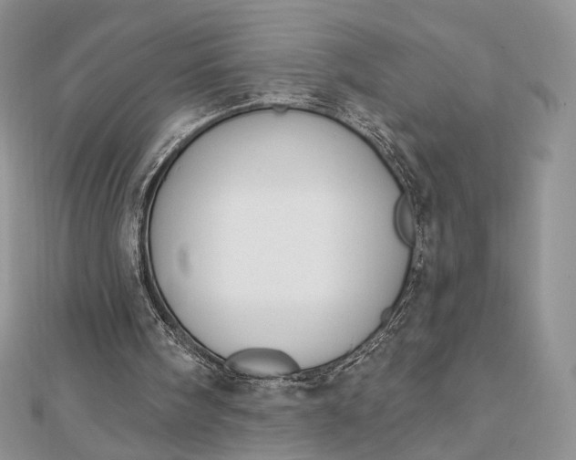 X0000112800098200909041441