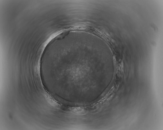 X0000112800100200909041441