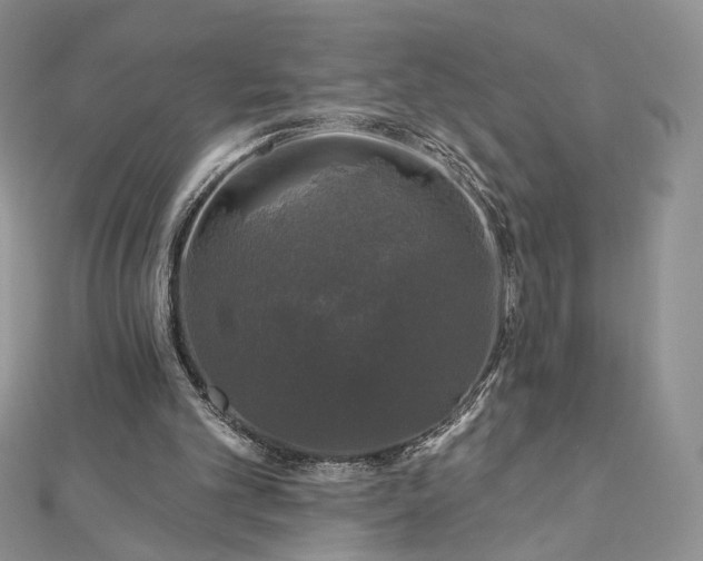 X0000112800101200909041441