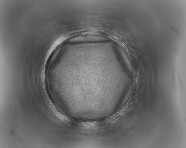 X0000112800102200909041441