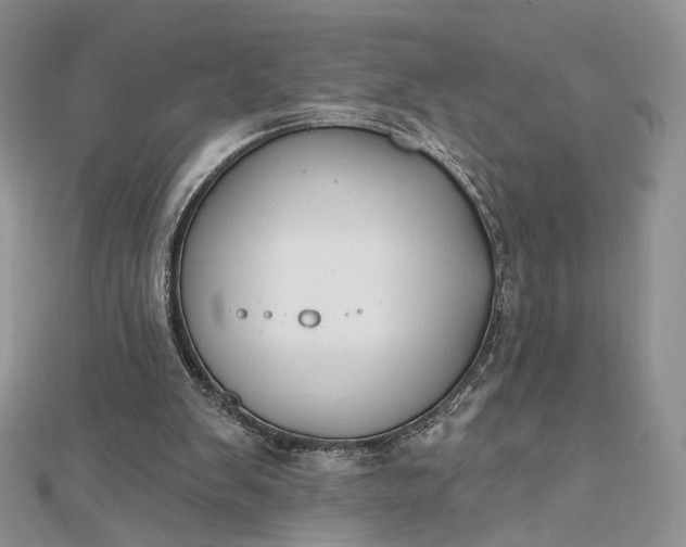 X0000112800103200909041441