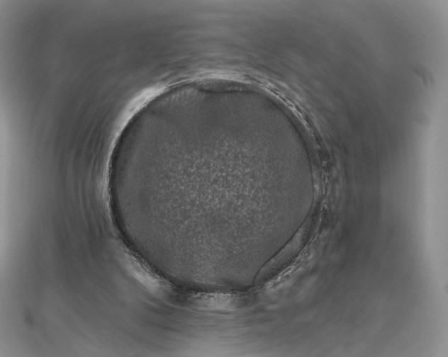 X0000112800104200909041441