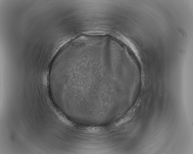 X0000112800105200909041441