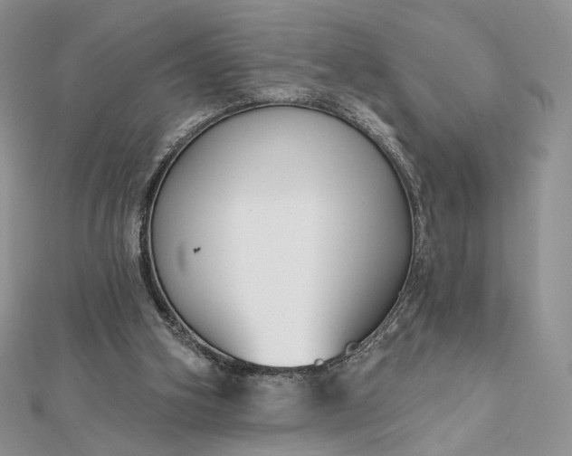 X0000112800106200909041441