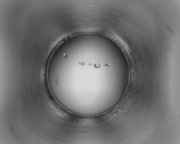 X0000112800107200909041441