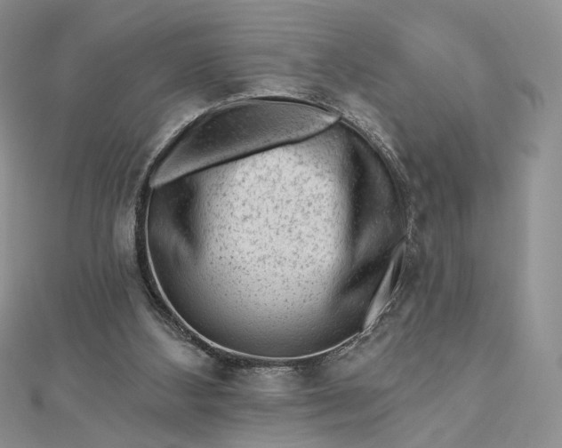 X0000112800108200909041441