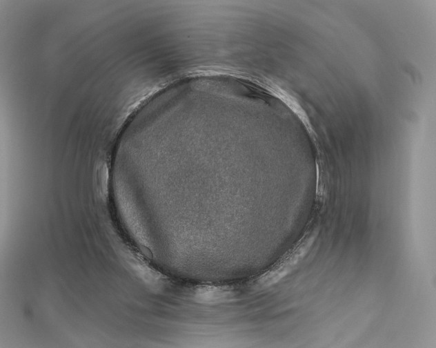 X0000112800109200909041441