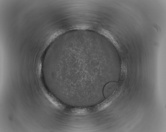 X0000112800110200909041441